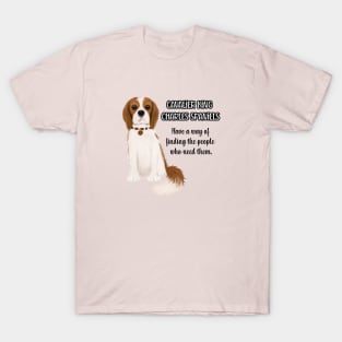 Cavaliers have a way of finding the people who need them. Blenheim T-Shirt